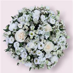 Classical White Posy