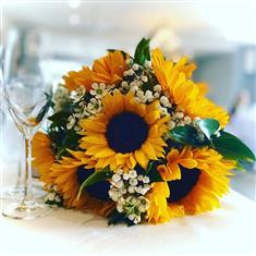 Sunflower and white Gypsophila handtied 