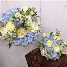White rose and blue Hydrangea hand tied 