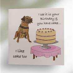 Birthday-I like cake