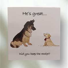 Birthday - A special present - Dog