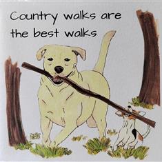 A Country walk